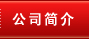 公司简介